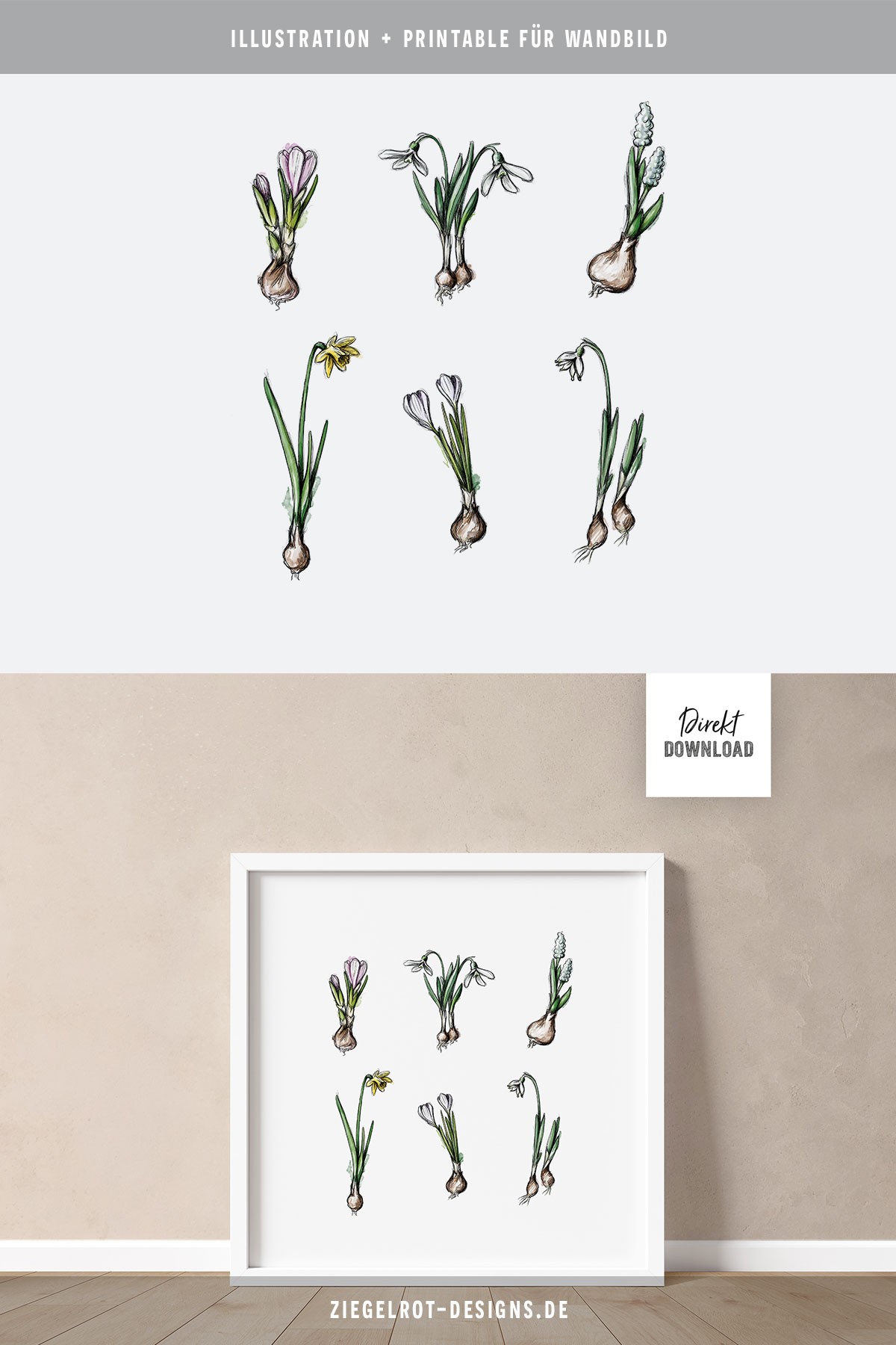 Printable für Wandbild, Illustrationsmotiv mit Frühlingsblühern, Blumenzwiebeln